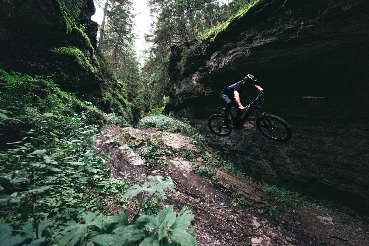 Levo-R Specialized Promo