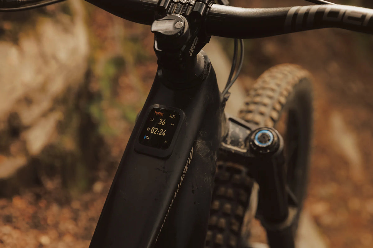 E-Bikes