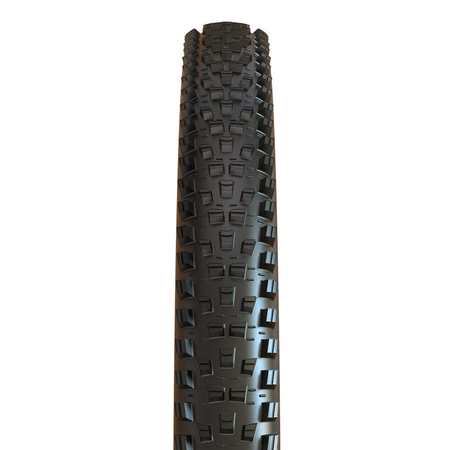 Forekaster Tire - Folding - Tubeless Ready - Black