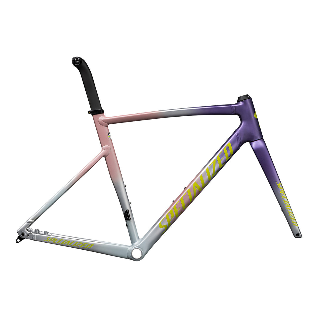 Allez Sprint Frameset - D'Aluisio Smartweld Alloy