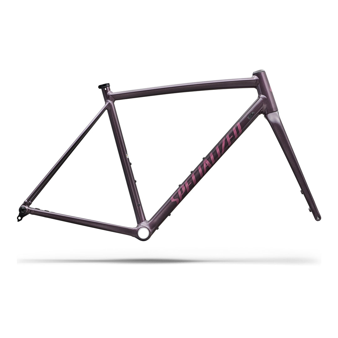 Crux DSW Frameset - D'Aluisio Smartweld Alloy