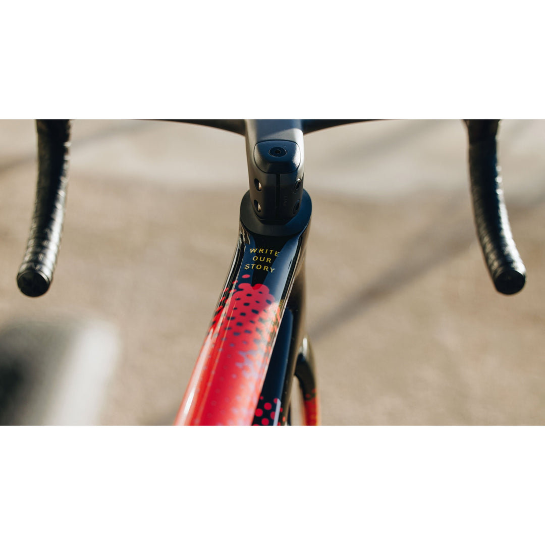 S-Works Tarmac SL8 Team Frameset - SD Worx - Protime