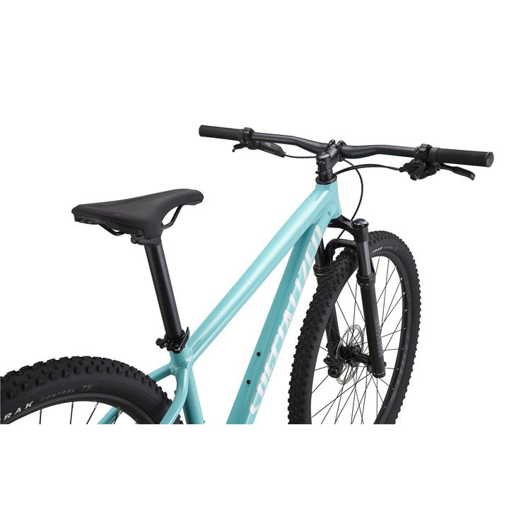 Rockhopper Expert 29