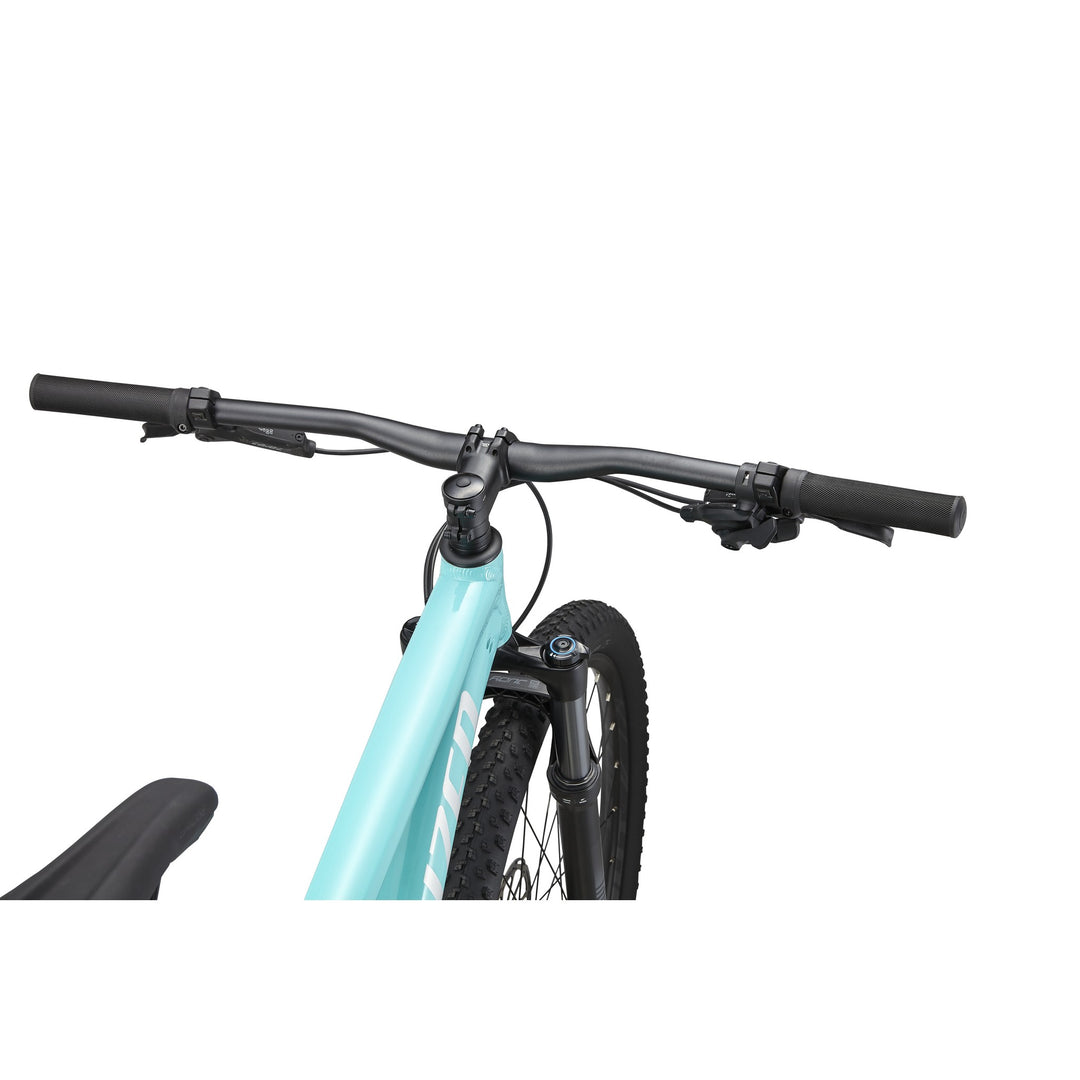 Rockhopper Expert 29