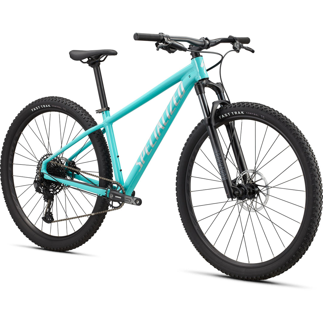 Rockhopper Expert 29