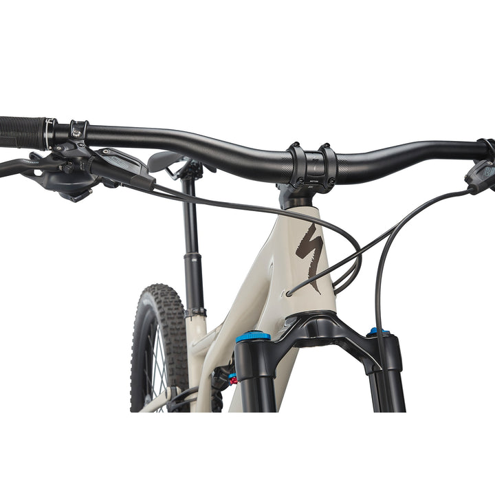 Stumpjumper Expert  - SRAM GX Eagle, Fox Perormance Elite