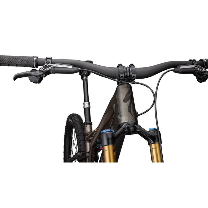 S-Works Stumpjumper T-Type  - SRAM XX Eagle, Fox Factory
