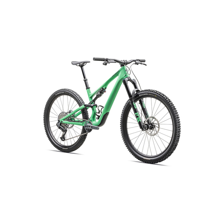 Stumpjumper 15 Expert - SRAM GX AXS, FOX Performance Elite