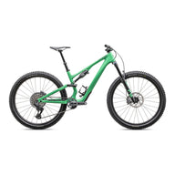 Stumpjumper 15 Expert - SRAM GX AXS, FOX Performance Elite