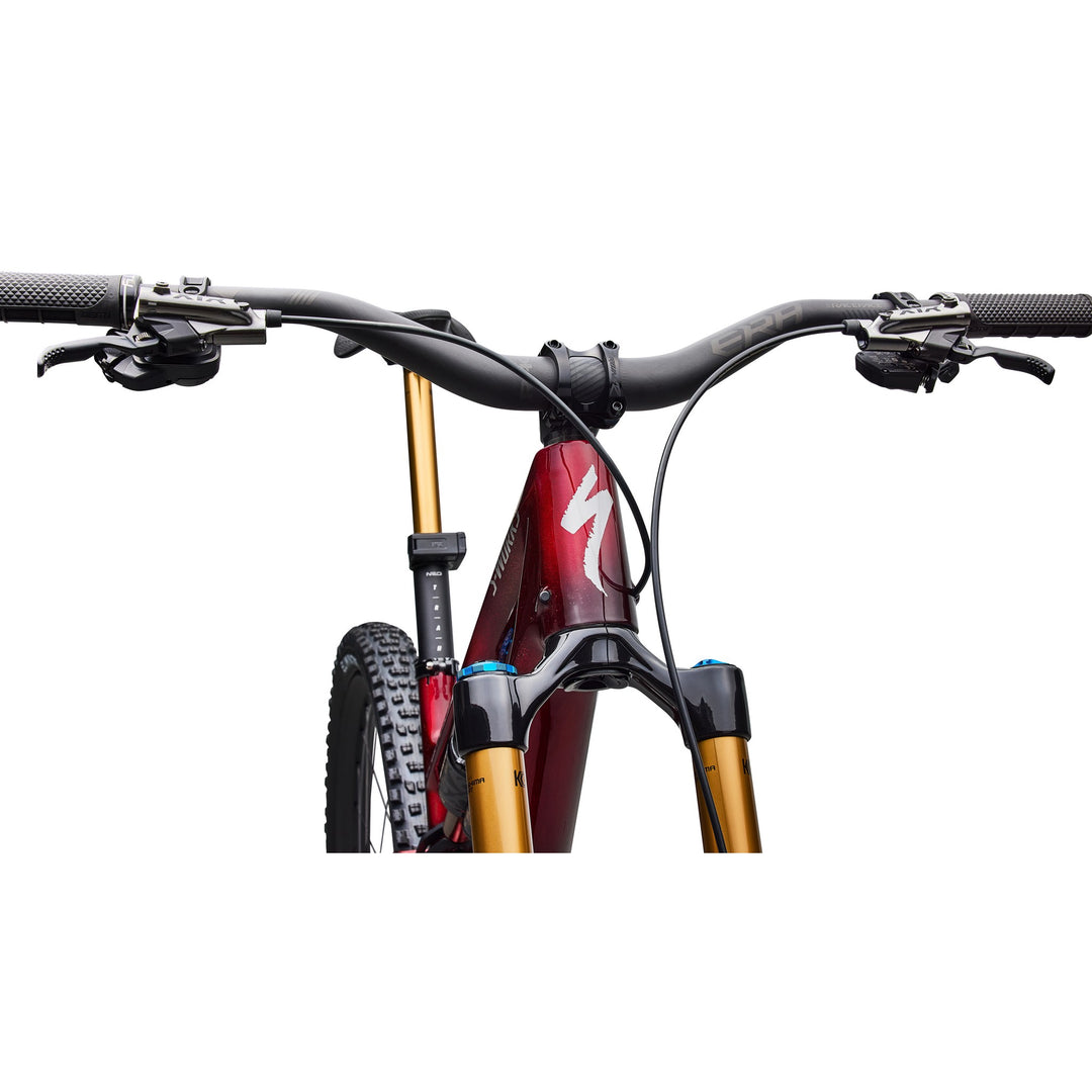 S-Works Stumpjumper 15 EVO - Shimano XTR Di2, FOX Factory