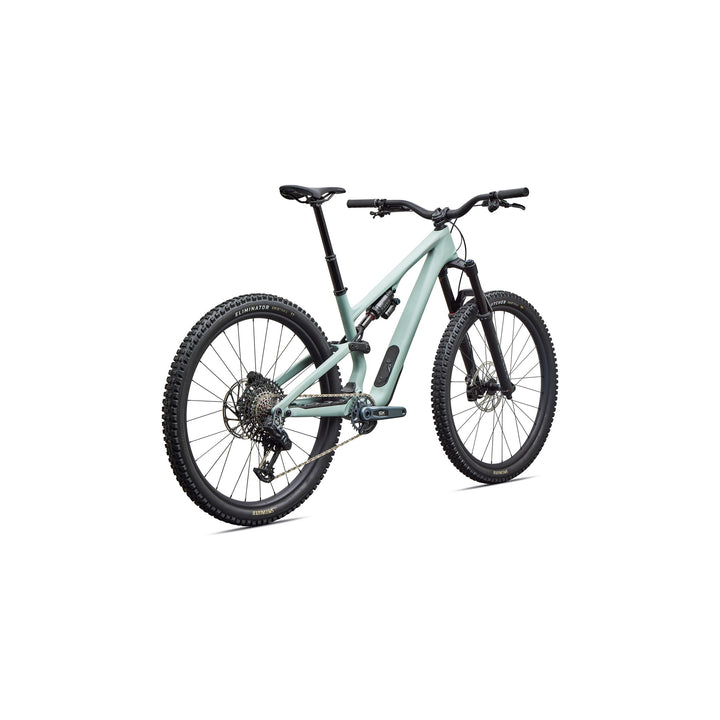 Stumpjumper 15 EVO Expert
