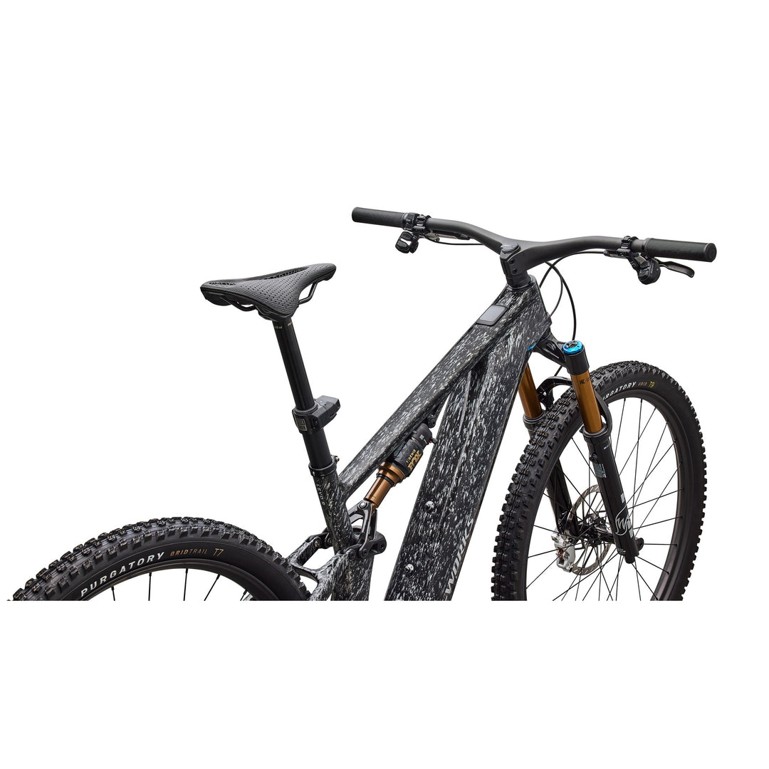 S-Works Turbo Levo R