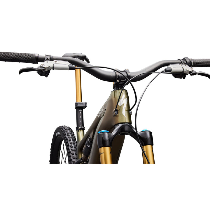 S-Works Turbo Levo 4