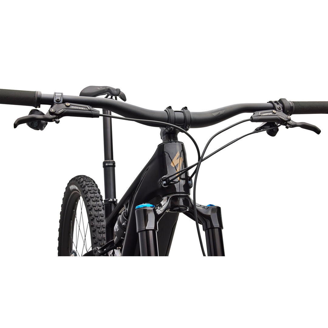 Turbo Levo R Expert