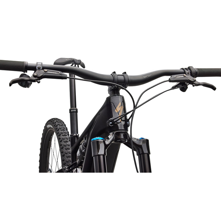 Turbo Levo R Expert