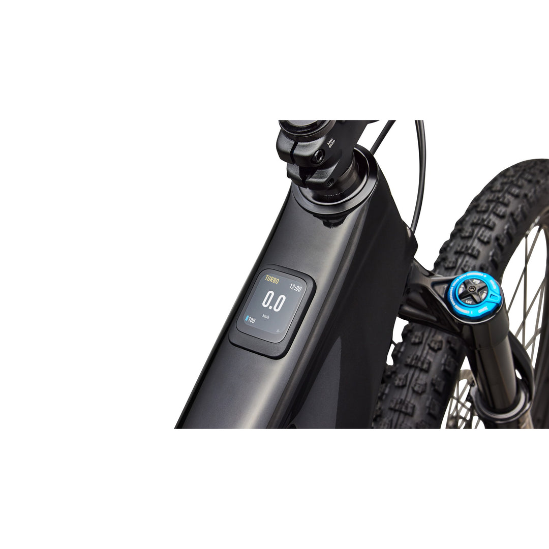 Turbo Levo R Expert