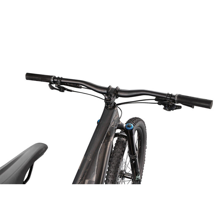Stumpjumper EVO Expert