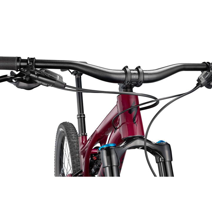 Stumpjumper EVO Comp Alloy  - SRAM NX Eagle, FOX Rhythm