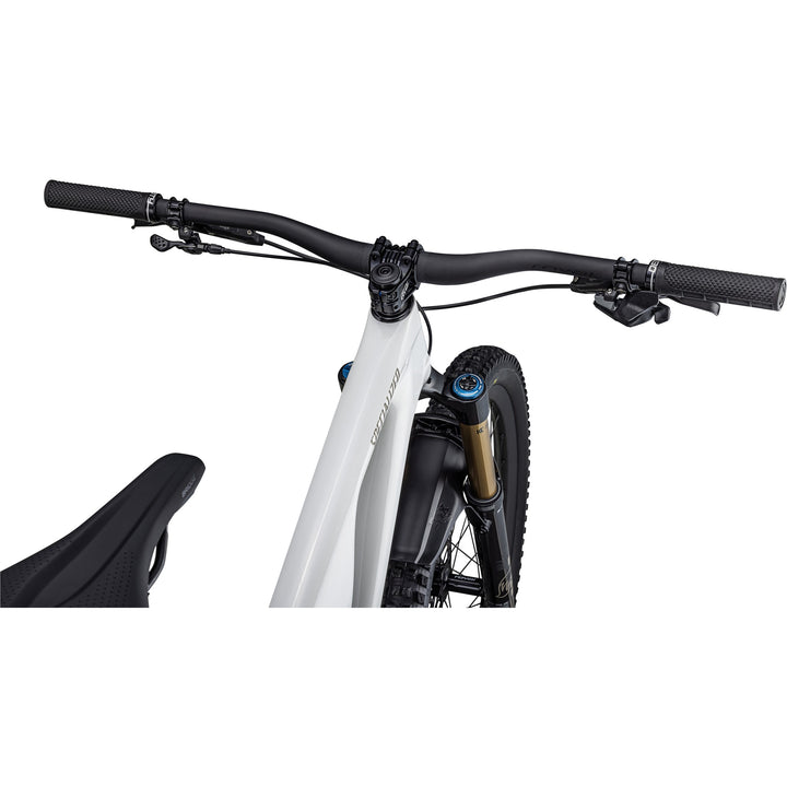 Stumpjumper EVO Pro  - SRAM X01 AXS, FOX Factory
