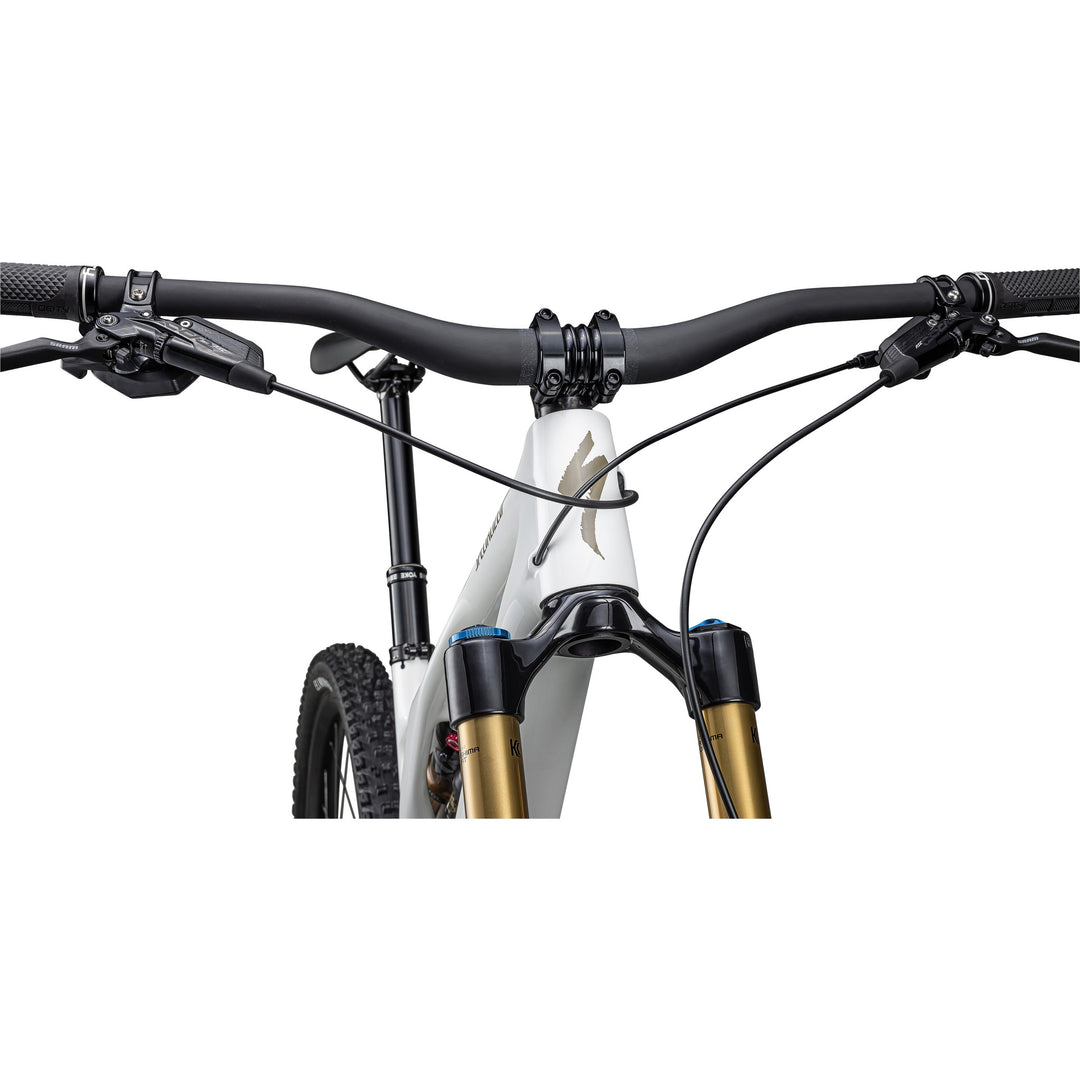 Stumpjumper EVO Pro  - SRAM X01 AXS, FOX Factory