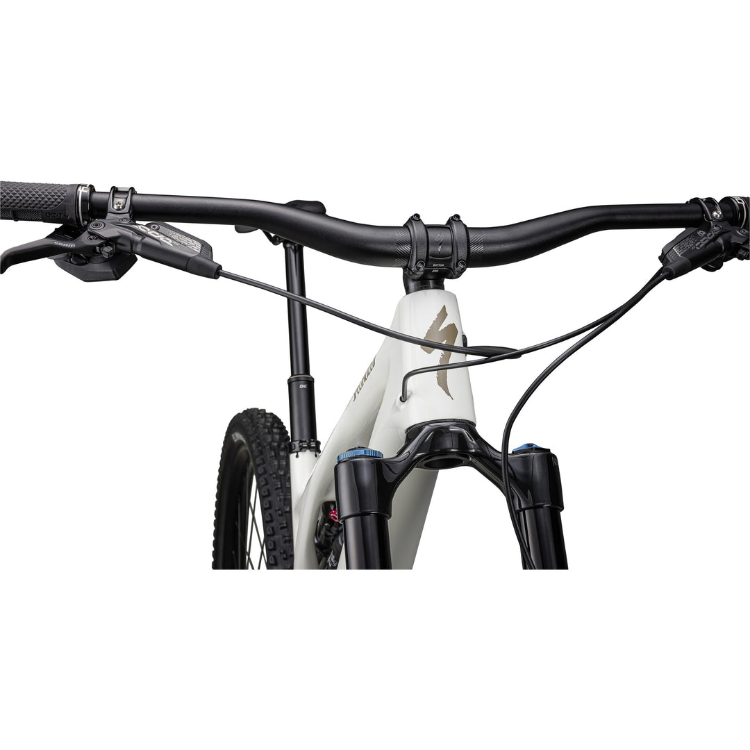 Stumpjumper EVO Expert  - SRAM GX Eagle AXS, FOX Performance Elite