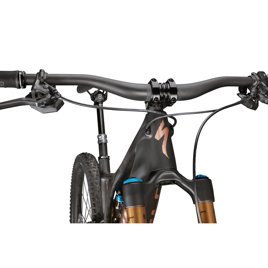 S-Works Turbo Levo SL