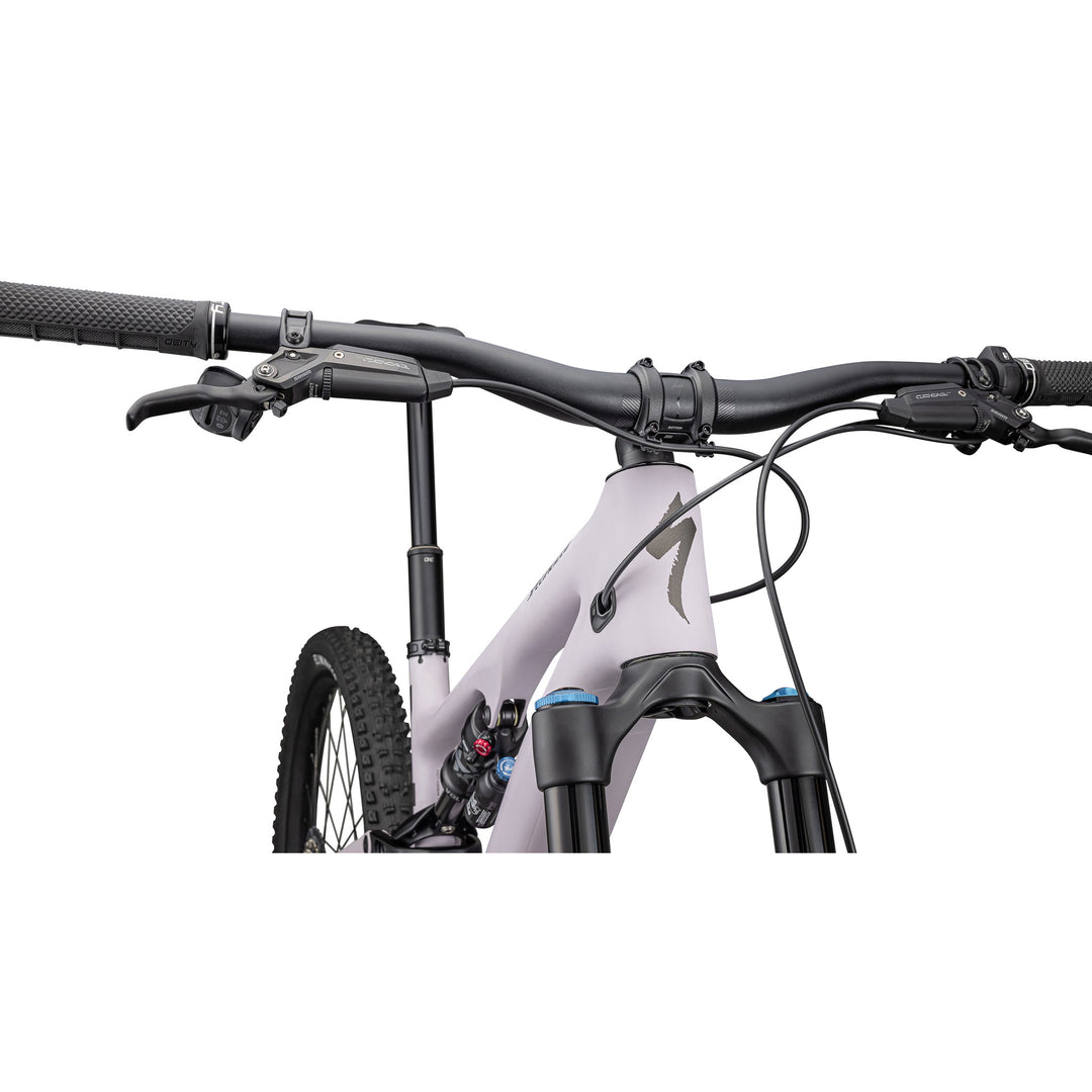 Turbo Levo SL 2 Expert Carbon