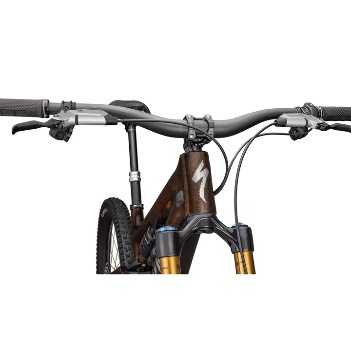 S-Works Turbo Levo SL 2