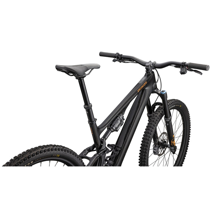 Turbo Levo SL 2 Expert