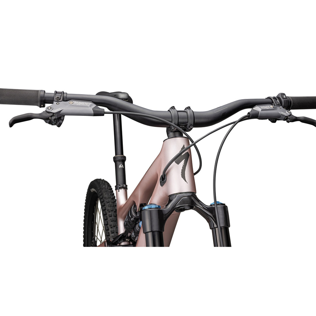 Turbo Levo SL 2 Expert