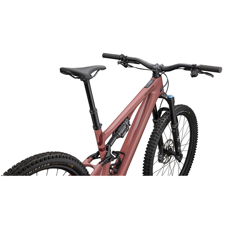 Turbo Levo SL 2 Comp