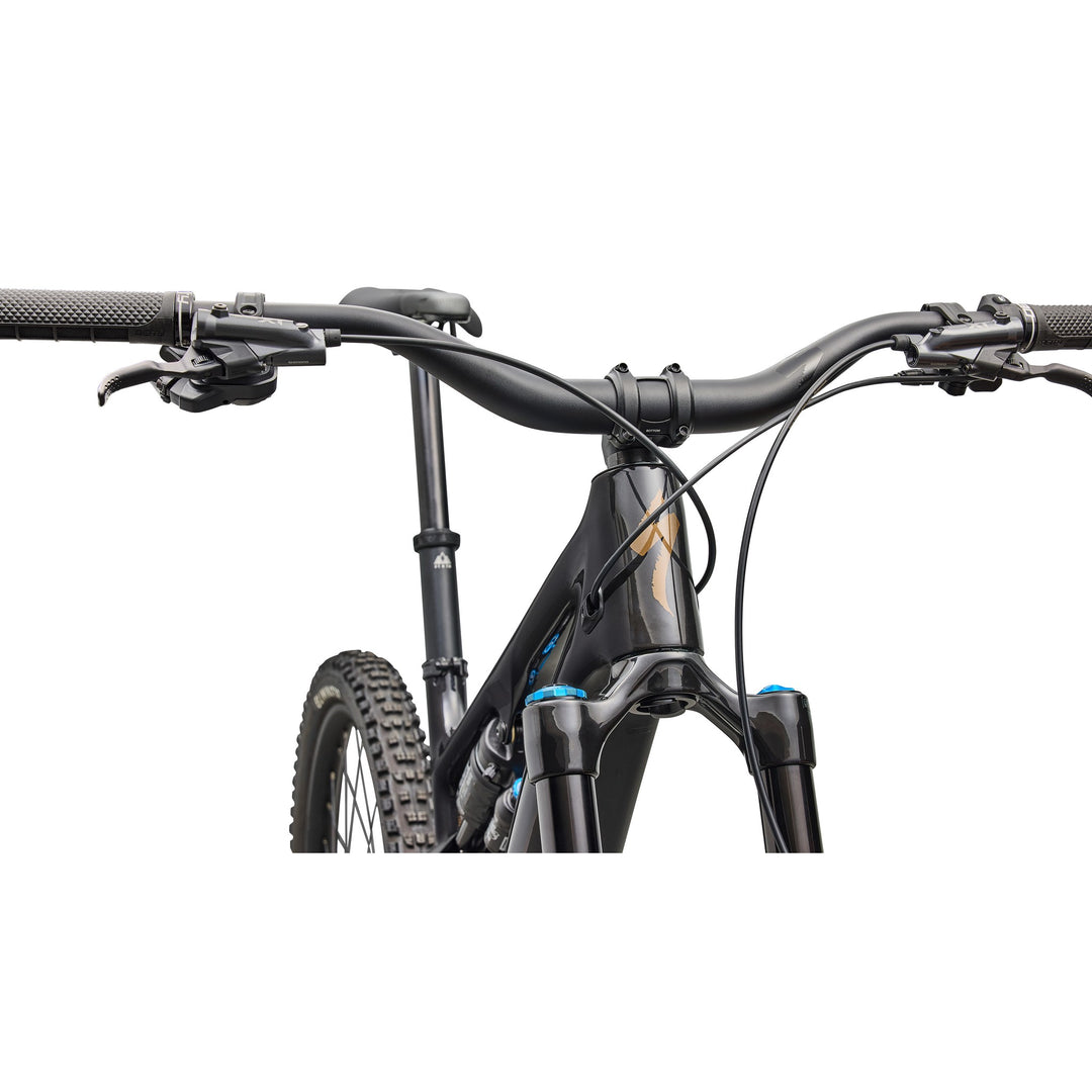 Turbo Levo SL 2 Expert Di2