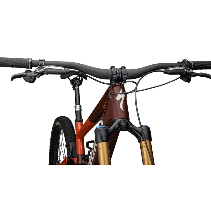 S-Works Turbo Kenevo SL 2