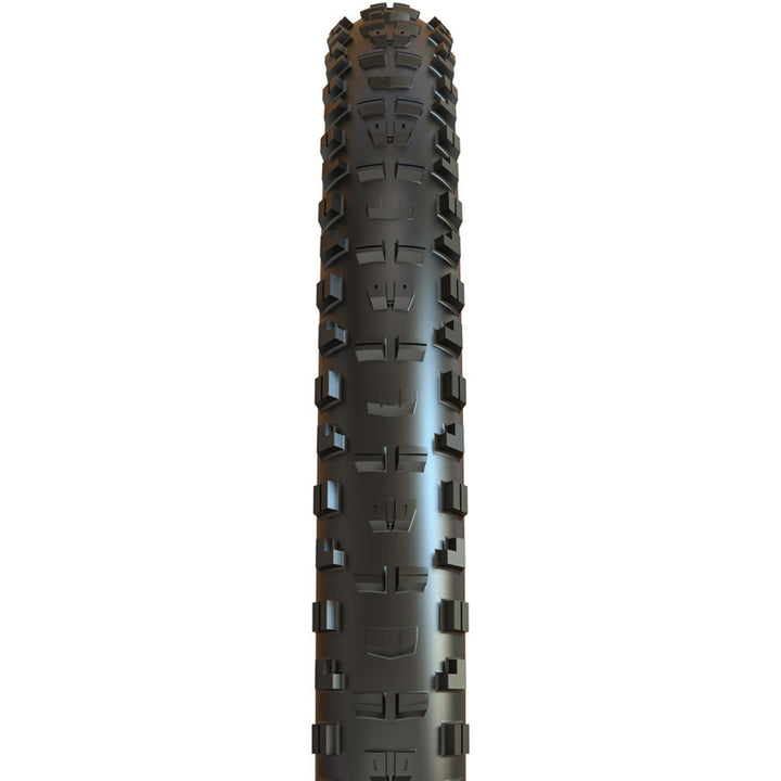 Minion DHR II Tire