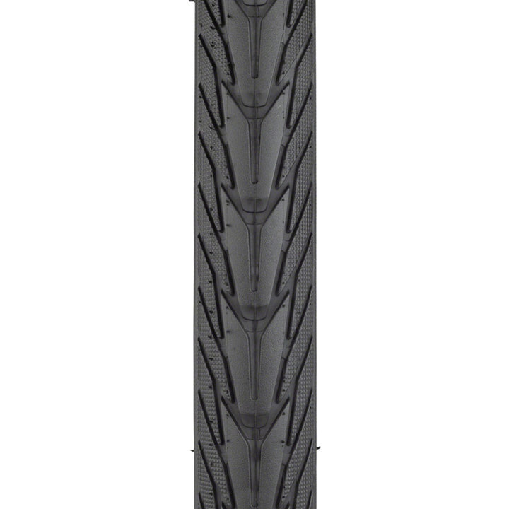 Energizer Plus Tire