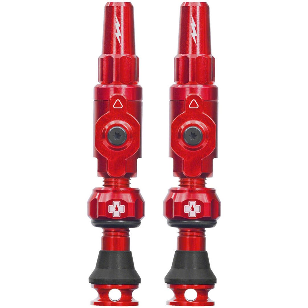 Big Bore Lite Tubeless Valve Stems