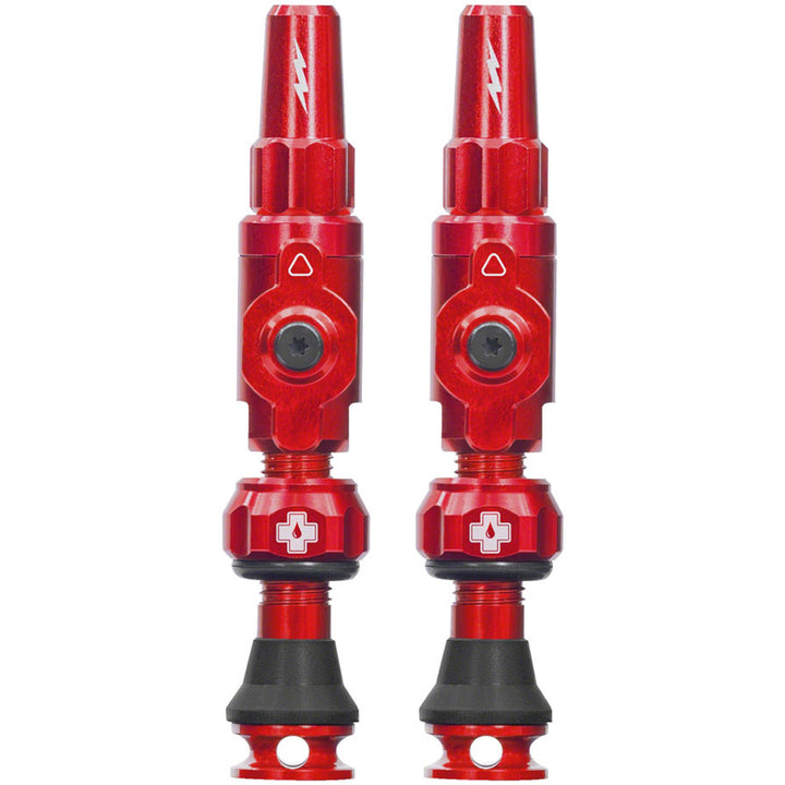 Big Bore Lite Tubeless Valve Stems