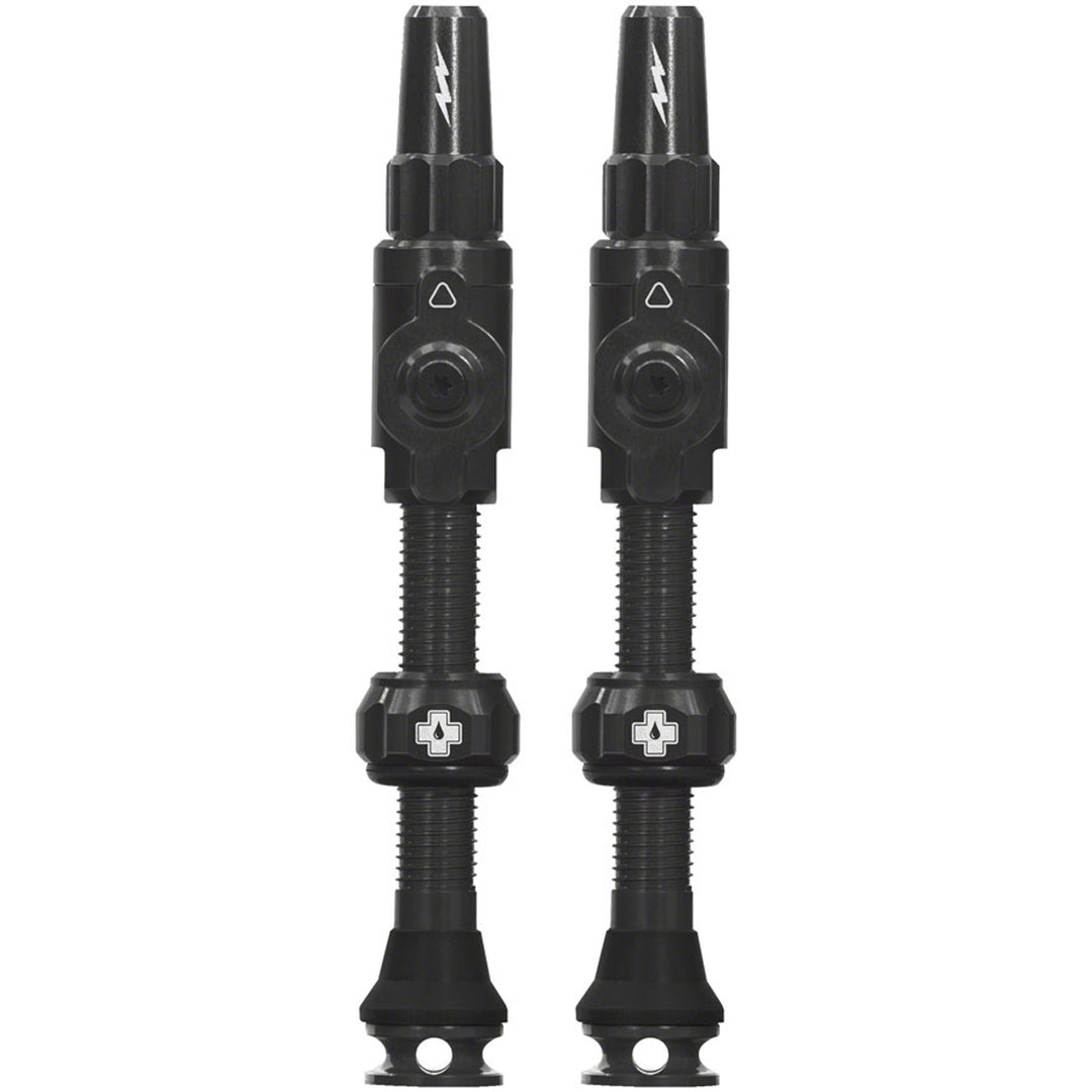 Big Bore Lite Tubeless Valve Stems