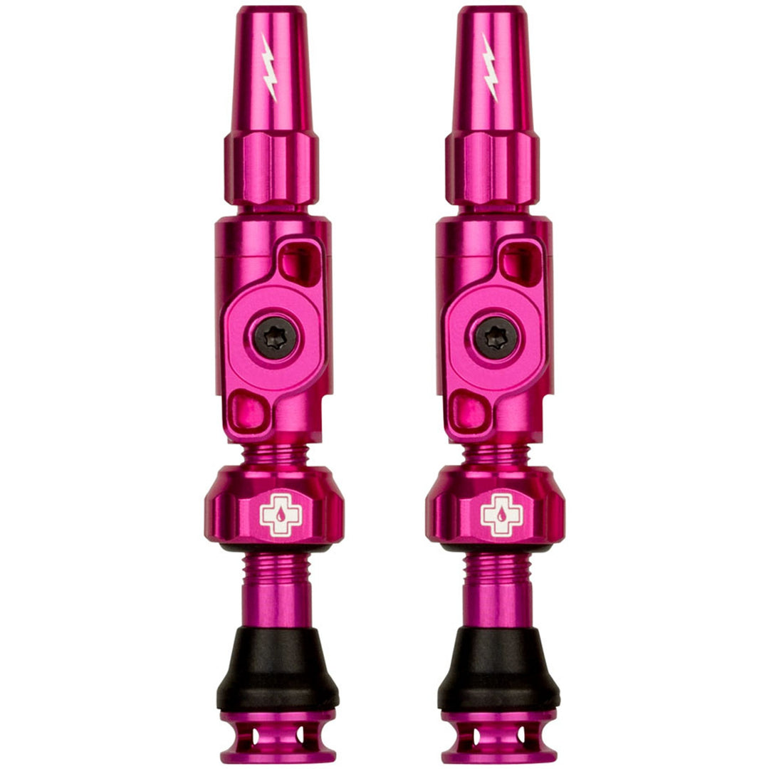 Big Bore Lite Tubeless Valve Stems