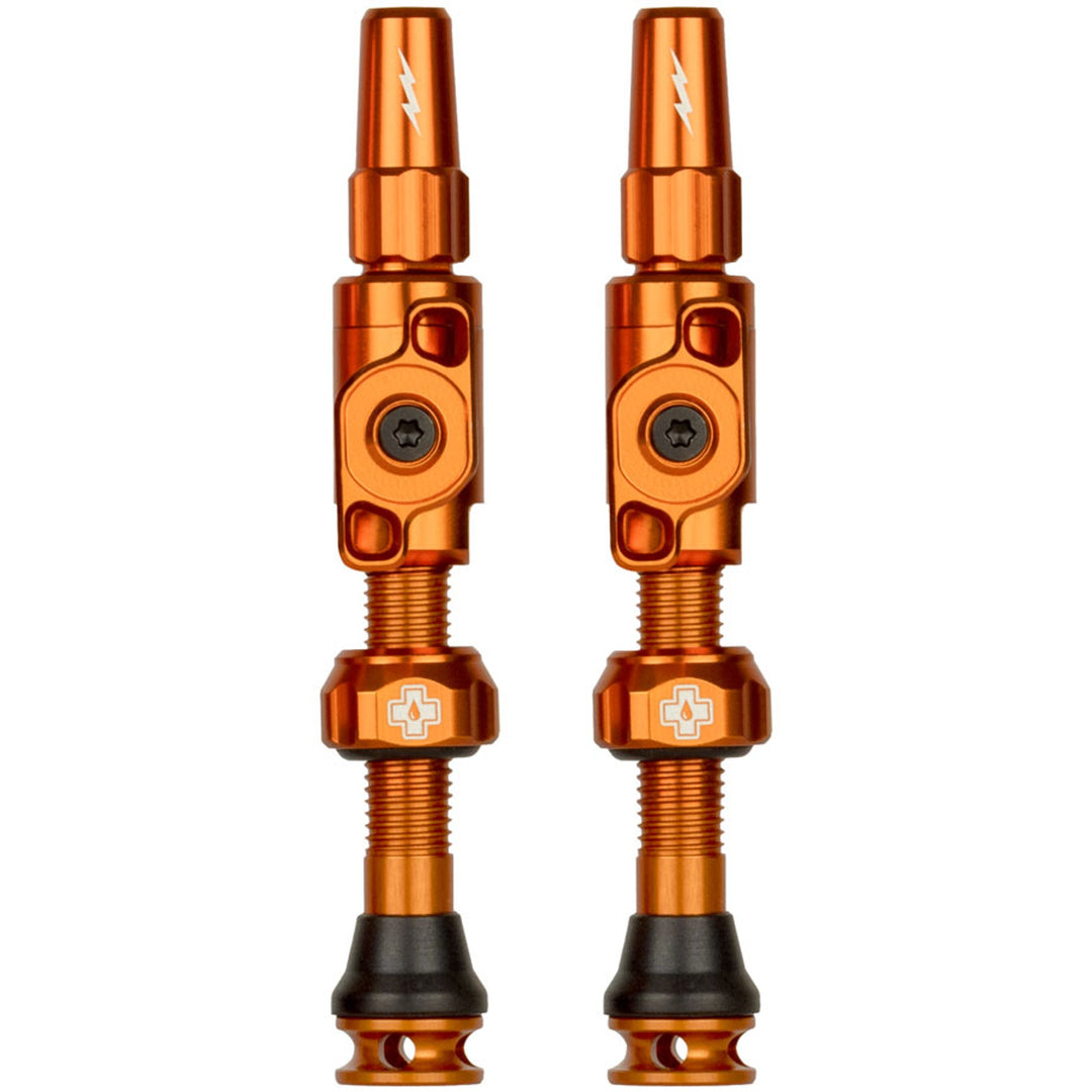 Big Bore Lite Tubeless Valve Stems