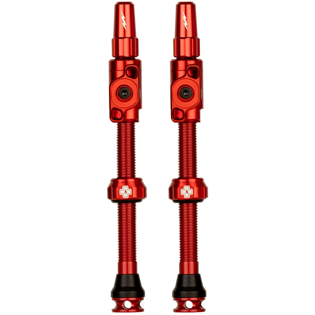 Big Bore Lite Tubeless Valve Stems