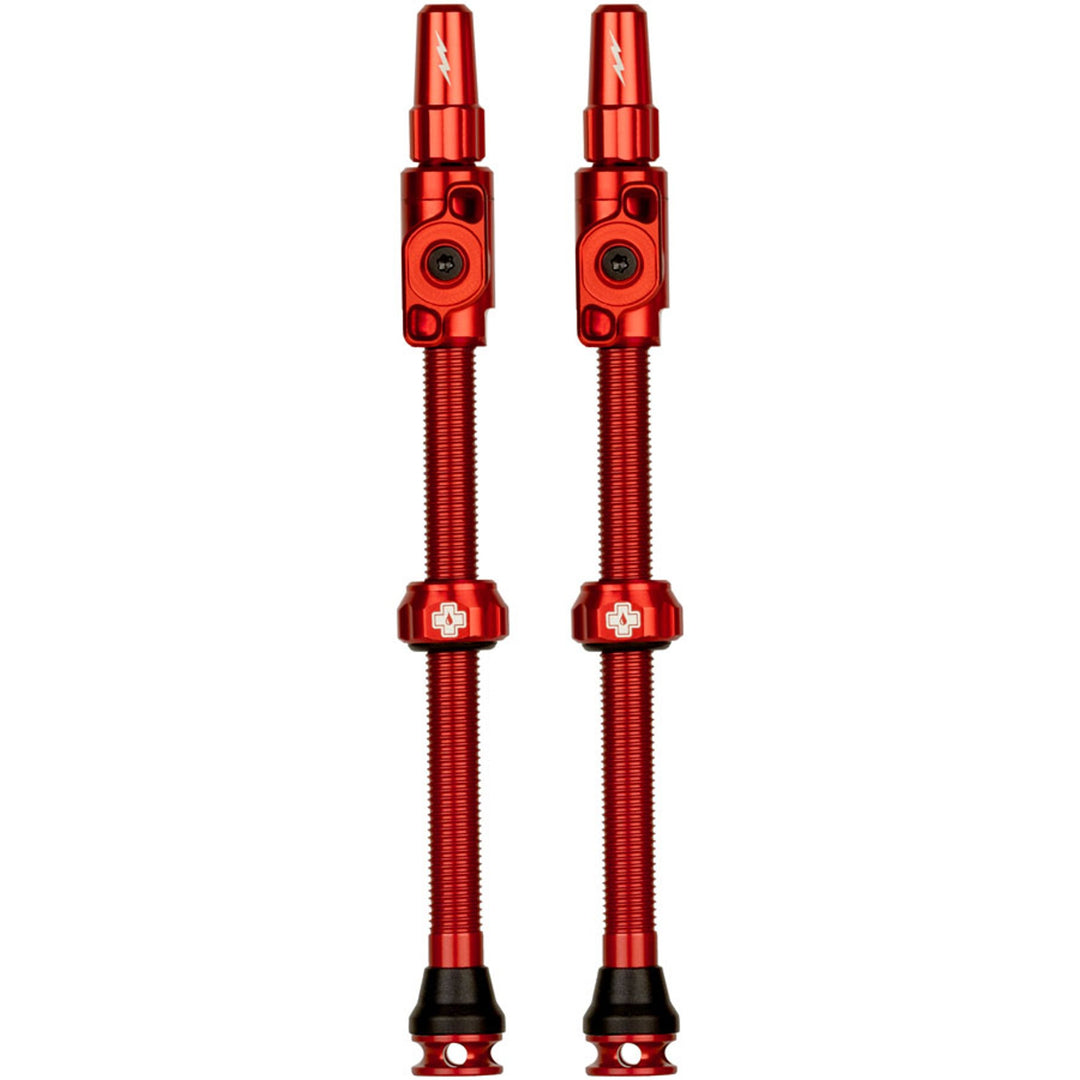 Big Bore Lite Tubeless Valve Stems