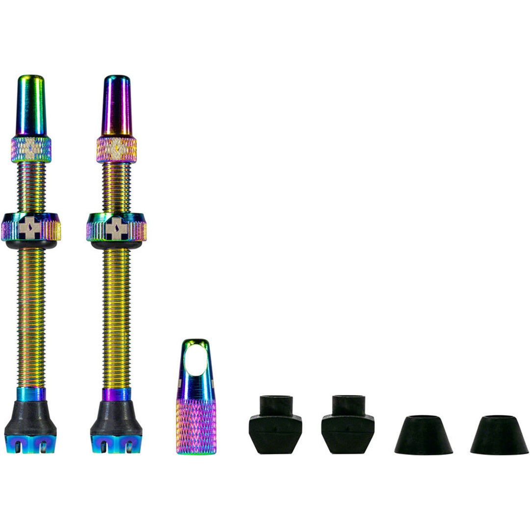 V2 Tubeless Valve Kit