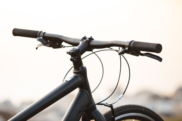 Batch Bicycles The Fitness Bicycle
