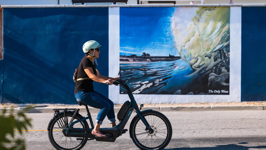 Gazelle Easyflow bike