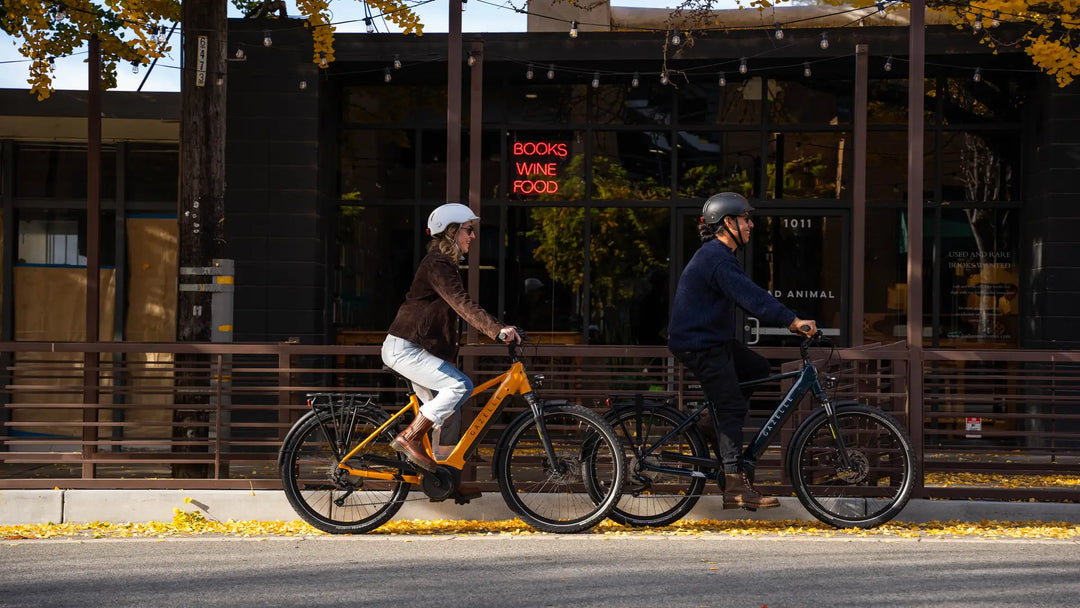 Gazelle Medeo bike