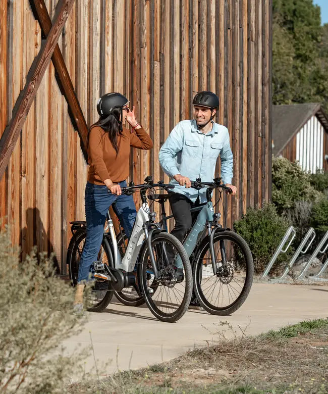 Gazelle Ultimate bike