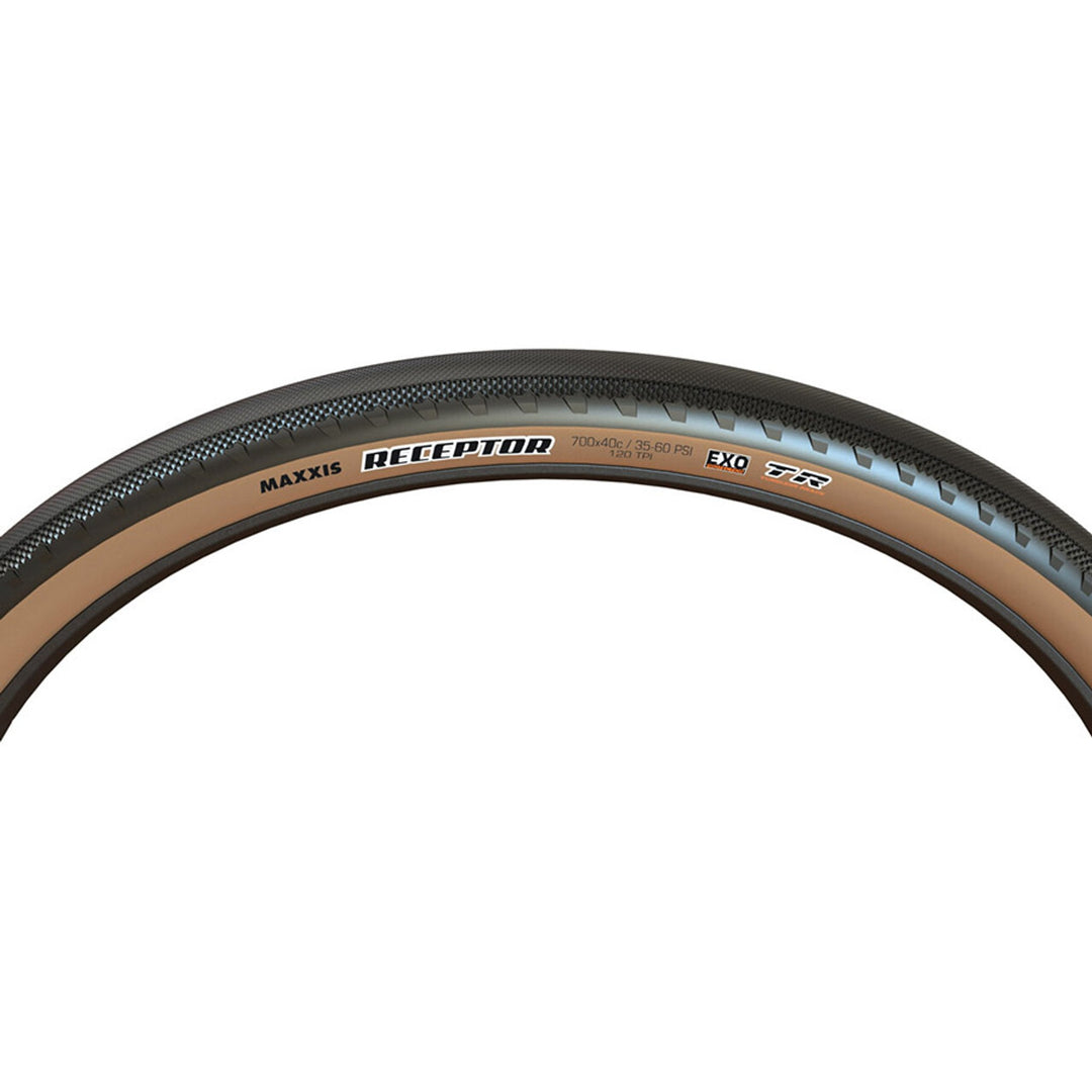 Receptor Tire - 700x40C - Folding - Tubeless Ready