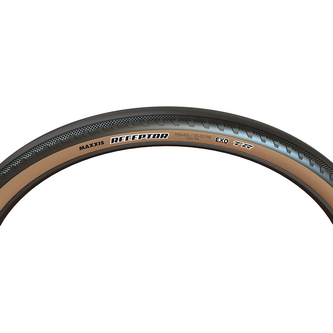 Receptor Tire - 700x40C - Folding - Tubeless Ready