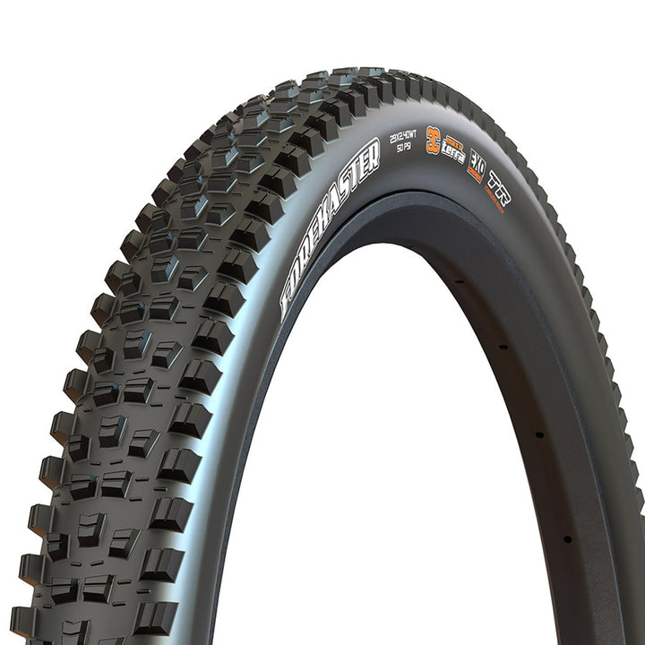 Forekaster Tire - Folding - Tubeless Ready - Black